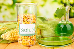 Antony biofuel availability