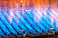 Antony gas fired boilers